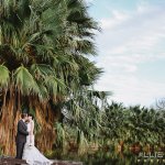 Bride and groom kissing beneath large palm tree 