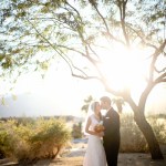 Bride and groom kissing under tree with bright sunlight